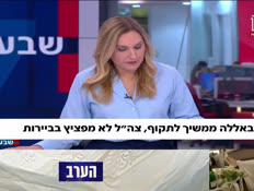 19hizballa_vtr2_n20260527_v1 (צילום: חדשות)