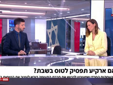 20deanakia_vtr2_n20260528_v1 (צילום: חדשות)