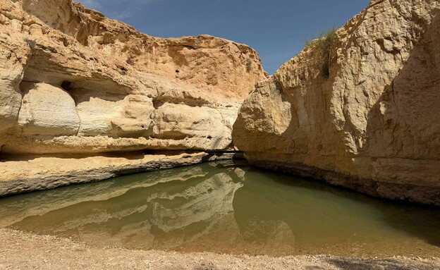 יוצאים לטייל בנגב הצפוני יוצאים לטייל בנגב הצפוני