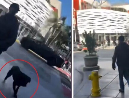 חשד לפשע שנאה: שיסה את כלבו בשני יהודים שהלכו ברחוב