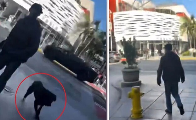 תקף יהודים עם הכלב שלו (צילום: צילום מסך)