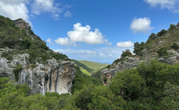 נחל כלח הר הכרמל ומבט על הצניר (צילום: מירב טלמור-קשי)