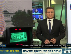 20lolesh_vtr2_n20260529_v1 (צילום: חדשות)