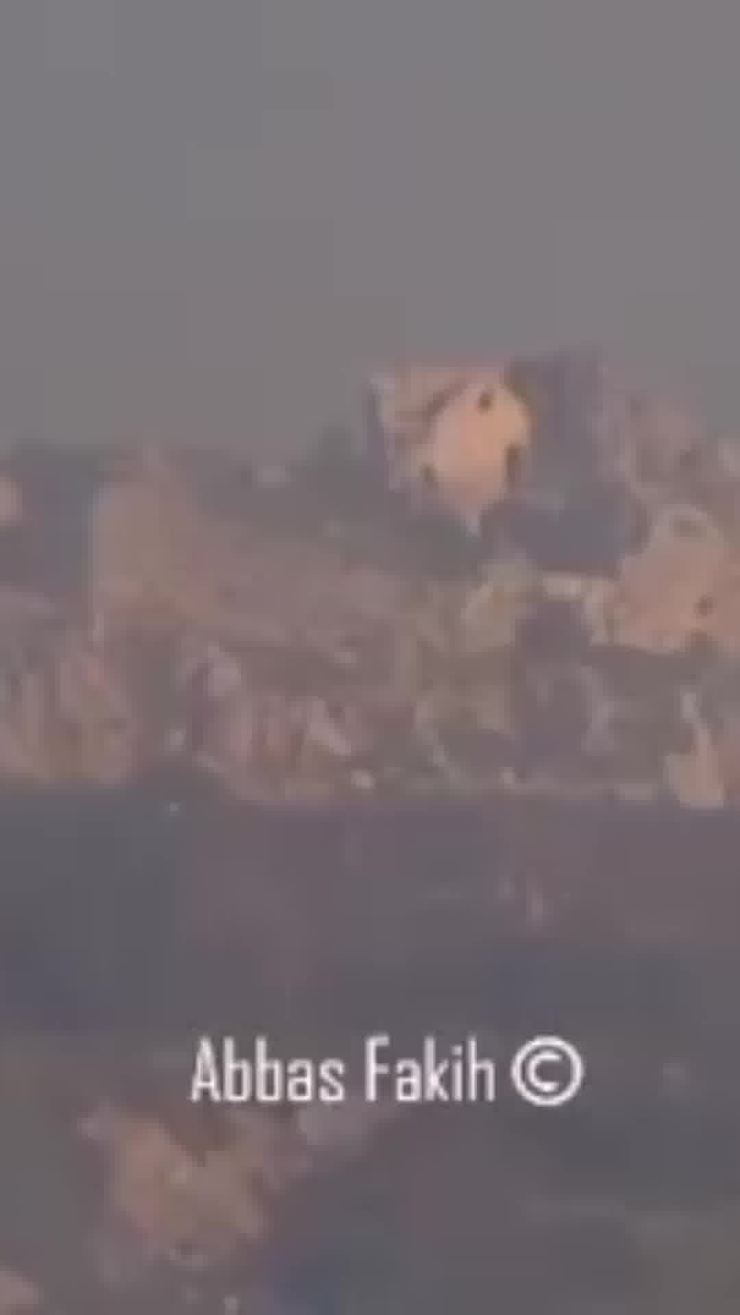 בלבנון מכחישים את הדיווחים שכוחות צה״ל השתלטו על מצודת הבופור