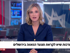 20gay_vtr2_n20260530_v1 (צילום: חדשות)