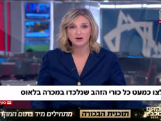20lausss_vtr2_n20260530_v1 (צילום: חדשות)