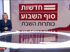 20panel_vtr2_n20260530_v1 (צילום: חדשות)
