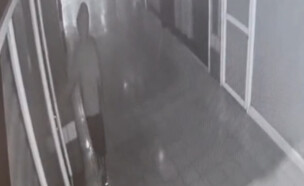 החגיגה של הנער בקניון