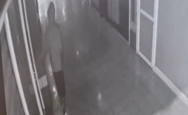 החגיגה של הנער בקניון