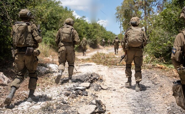 פעילות כוחות חטיבה 401 בדרום לבנון
