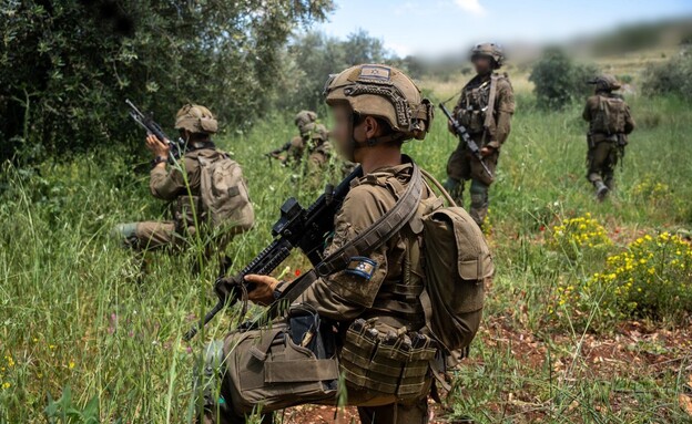 פעילות כוחות חטיבה 401 בדרום לבנון פעילות כוחות חטיבה 401 בדרום לבנון