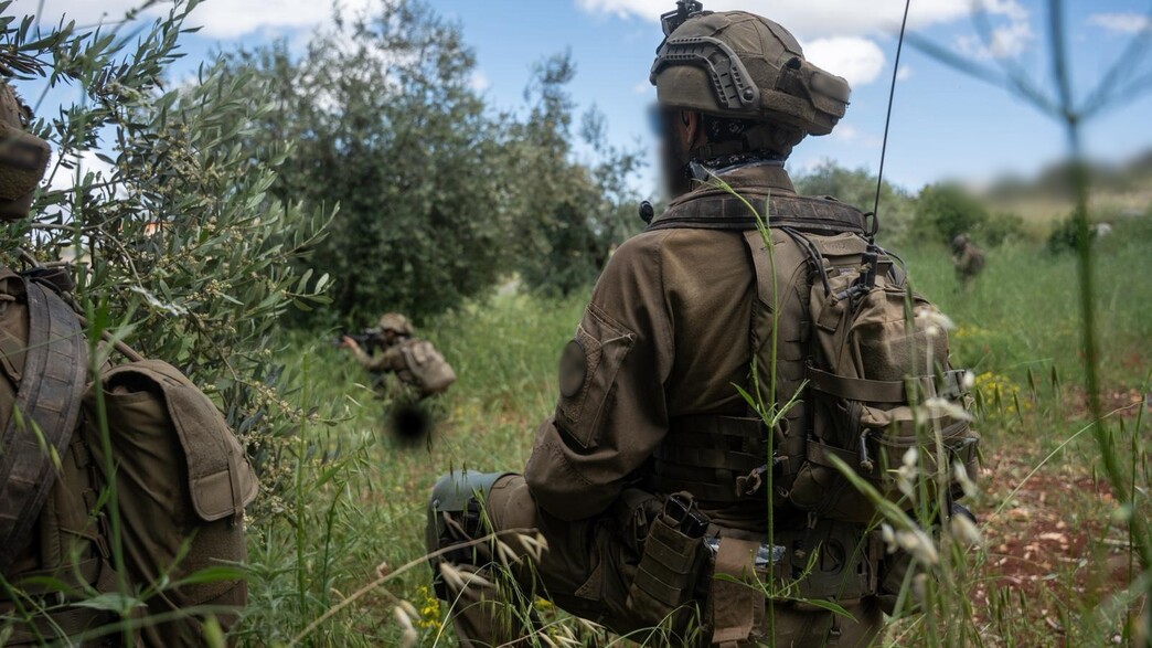 פעילות כוחות חטיבה 401 בדרום לבנון פעילות כוחות חטיבה 401 בדרום לבנון
