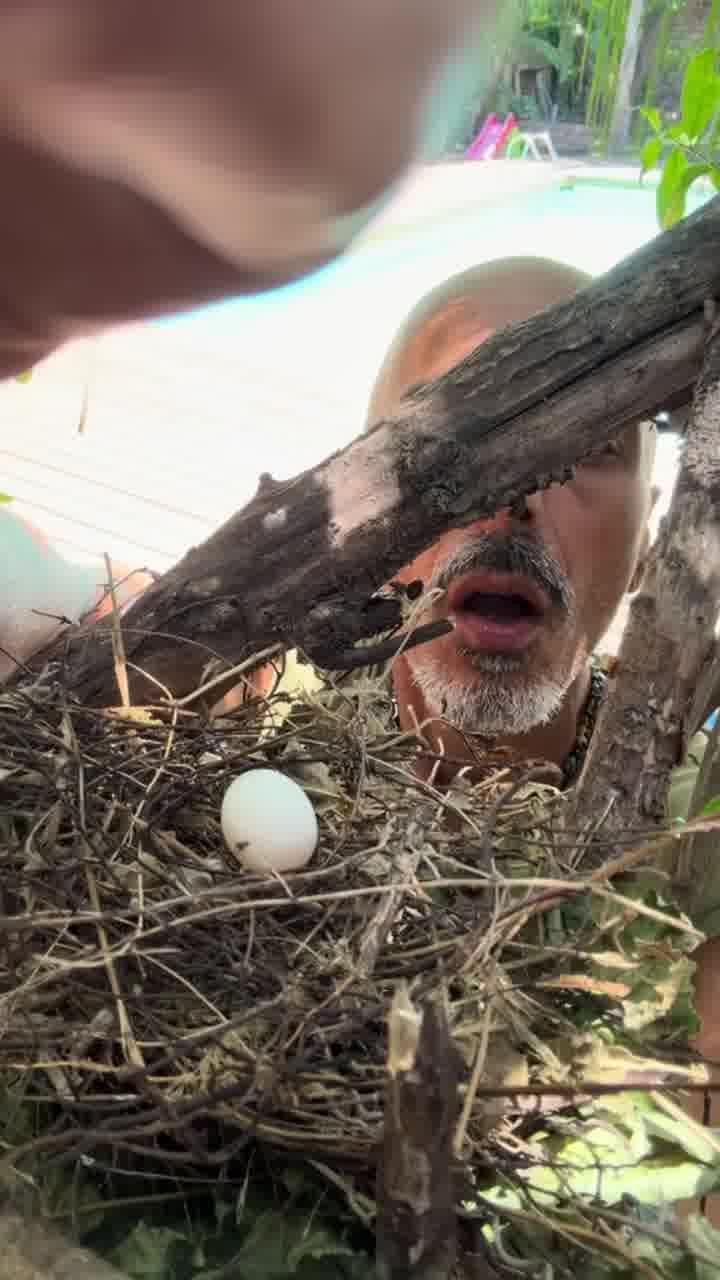 אלי פיניש מתרגש מביצה