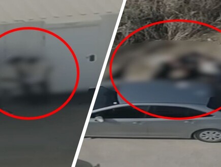 סחטו ואיימו על קבלני רכבת ישראל: "אתה לא יודע איזה כוח יש לי, אבו לטיף וג'רושי חברים שלי"