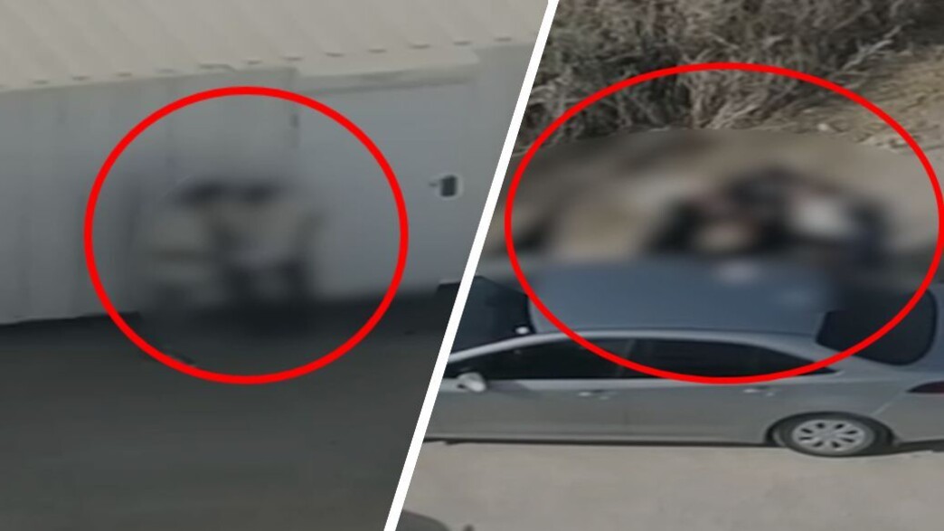 תיעוד מעשי הסחיטה תיעוד מעשי הסחיטה