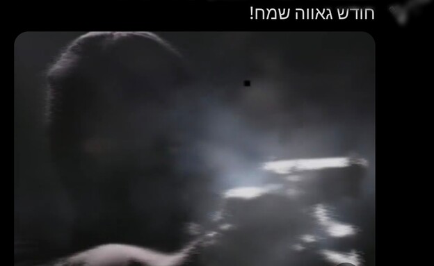 סרטון ההסתה נגד הקהילה הגאה (צילום: טוויטר)