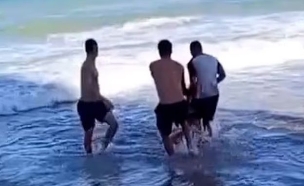 גל תקיפות הכרישים בברזיל נמשך (צילום: מתוך הרשתות החברתיות לפי סעיף 27א׳ לחוק זכויות יוצרים)
