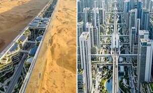 ניאום ערב הסעודית  (צילום: לפי סעיף 27א' לחוק זכויות יוצרים)