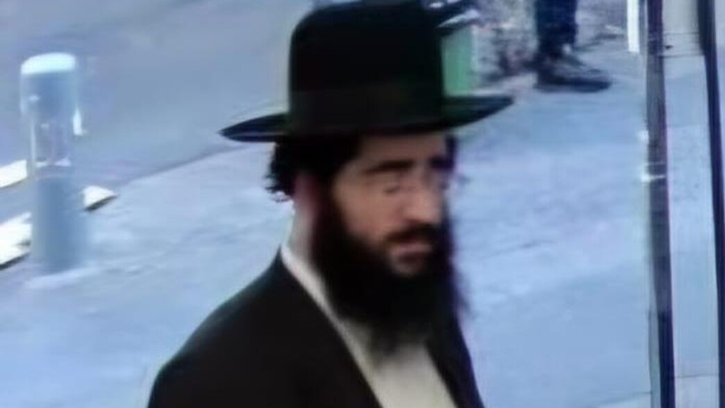 מאיר לוי