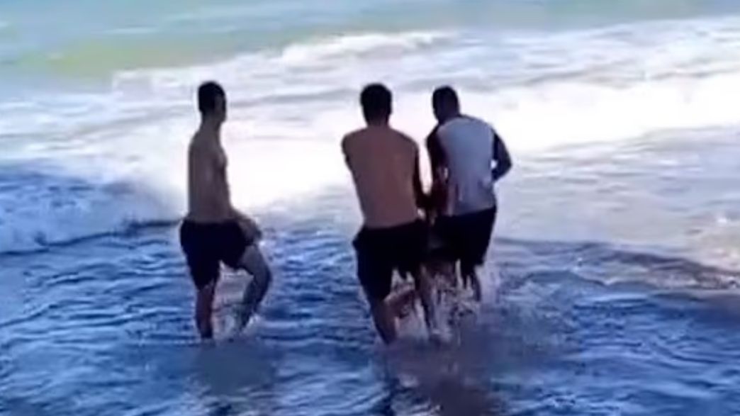 גל תקיפות הכרישים בברזיל נמשך