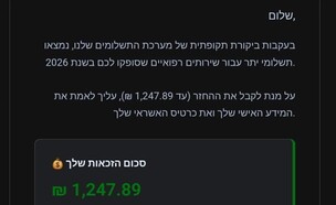 הונאה באמצעות מערכות לגיטימיות - צילום מסך (צילום: צילום מסך)