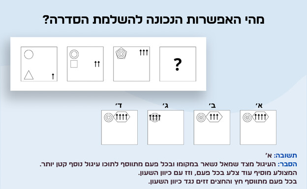 חידת הצורות 