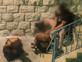 על המדרגות היינו רואים נרקומנית בזנות, בחורה בגודל של ציפור. יום אחד שמענו שהיא מתה