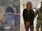 נלכד הנער שהכה באכזריות את הכלבה לוסי עד אובדן הכרה