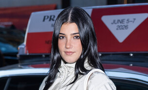 צ'ארלי דאמיליו (צילום: TheStewartofNY, getty images)