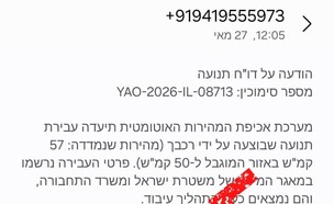 פייק ניוז דוחות משטרה (צילום: דוברות משטרת ישראל)