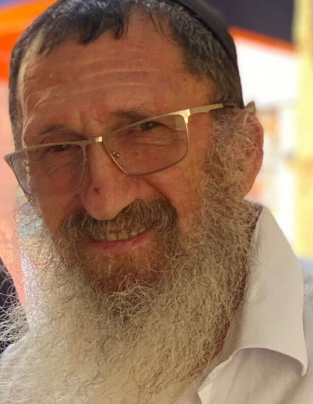  דוד רובינשטיין
