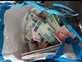 בפשיטה בדרום תל אביב: קזינו סיני נחשף עם מיליון שקל במזומן