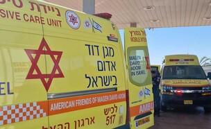 זירת התאונה (צילום: דוברות מד"א)