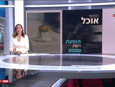 20food_vtr2_n20260607_v1 (צילום: חדשות)