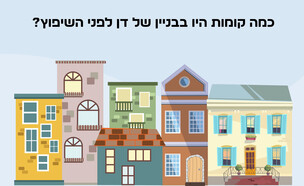 חידת השיפוץ הגדול (איור: הפרופסור הלא המפוזר)
