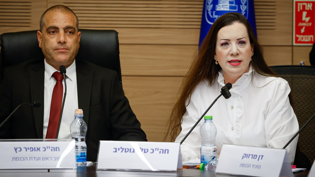 טלי גוטליב ואופיר כץ בדיון בבקשת לקביעת חסינות בפנ טלי גוטליב ואופיר כץ בדיון בבקשת לקביעת חסינות בפנ
