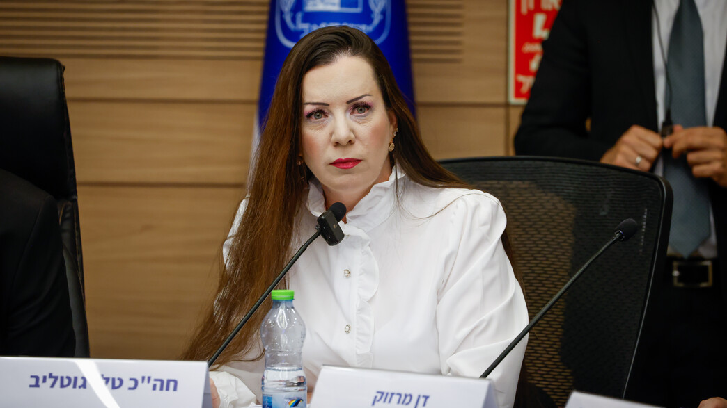 טלי גוטליב בדיון בכנסת בבקשת לקביעת חסינות טלי גוטליב בדיון בכנסת בבקשת לקביעת חסינות