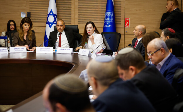 טלי גוטליב ואופיר כץ בדיון בבקשת לקביעת חסינות בפנ טלי גוטליב ואופיר כץ בדיון בבקשת לקביעת חסינות בפנ