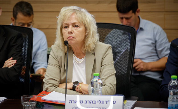 עו"ד גלי בהרב מיארה בדיון בבקשה לקביעת חסינות בפני עו"ד גלי בהרב מיארה בדיון בבקשה לקביעת חסינות בפני