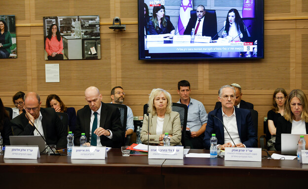 עו"ד גלי בהרב מיארה בדיון בבקשה לקביעת חסינות עו"ד גלי בהרב מיארה בדיון בבקשה לקביעת חסינות