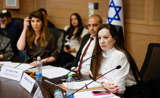 טלי גוטליב ואופיר כץ בדיון בבקשת לקביעת חסינות בפנ טלי גוטליב ואופיר כץ בדיון בבקשת לקביעת חסינות בפנ