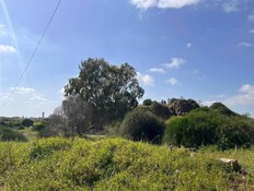 השטח בראשון לציון עליו צפוי להיבנות מתחם "האירוס"