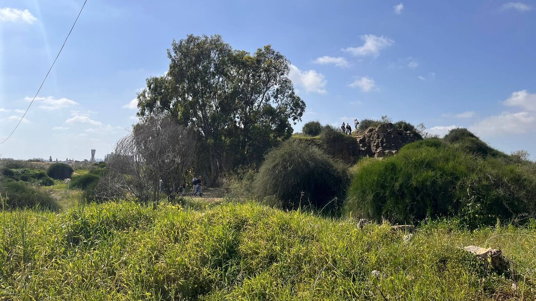 שינוי ייעוד לקרקע של פרשקובסקי בראשון לציון