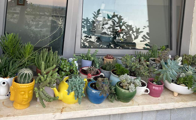 אדן חלון מעוצב עיצוב ורד בר אדן חלון מעוצב עיצוב ורד בר