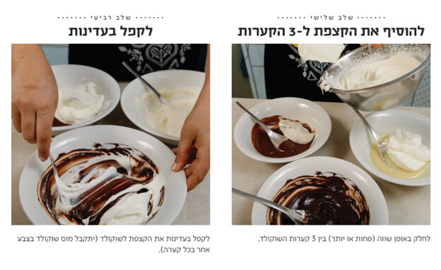 עוגת ביסקוויטים טריקולד 2 עוגת ביסקוויטים טריקולד 2