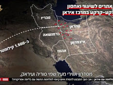 20year_vtr2_n20260609_v1 (צילום: חדשות)