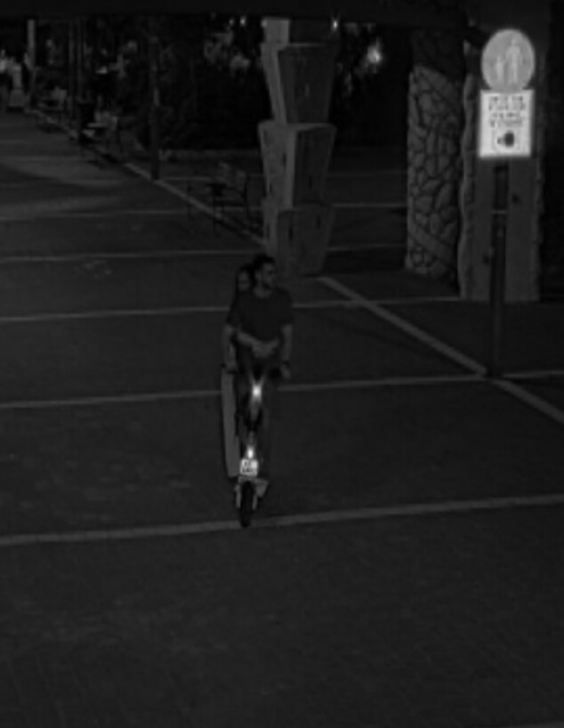 רוכב במצלמות הלילה רוכב במצלמות הלילה