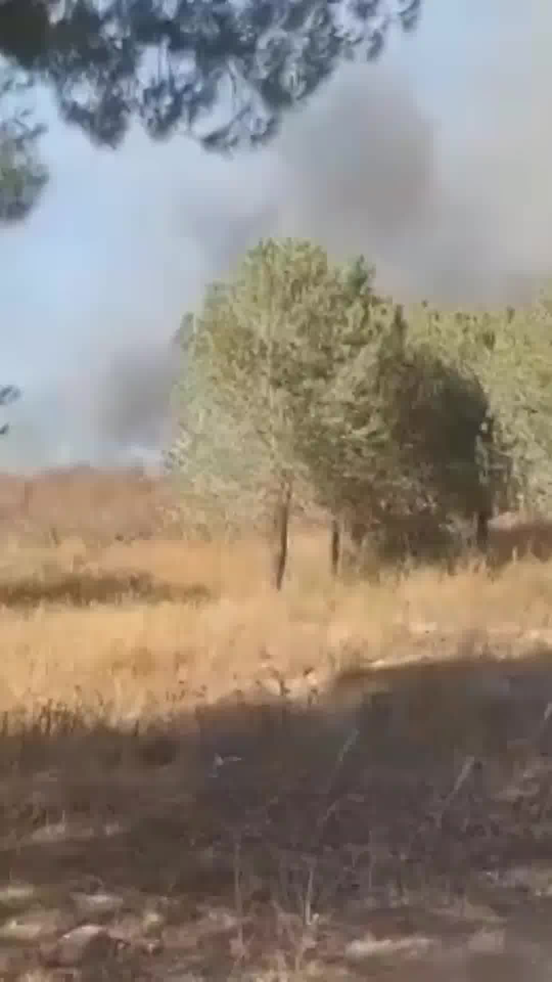 שריפה בשטח פתוח באלעד - ארבעה מטוסי כיבוי הוזנקו לזירה