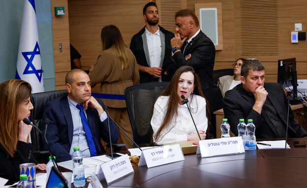 דיון בכנסת בבקשת טלי גוטליב לקביעת חסינות בפני די דיון בכנסת בבקשת טלי גוטליב לקביעת חסינות בפני די