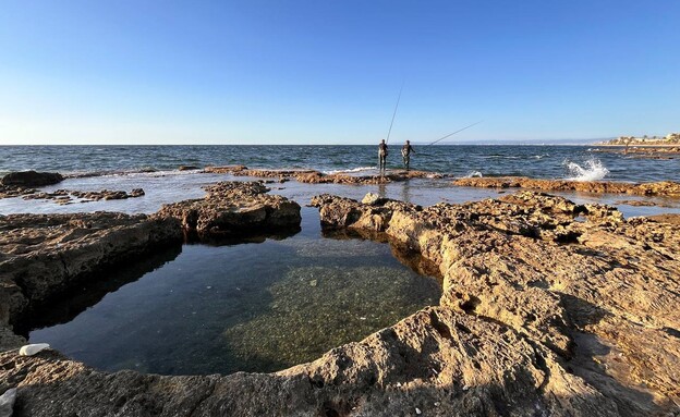 בריכה עגולה תל שקמונה חיפה בריכה עגולה תל שקמונה חיפה